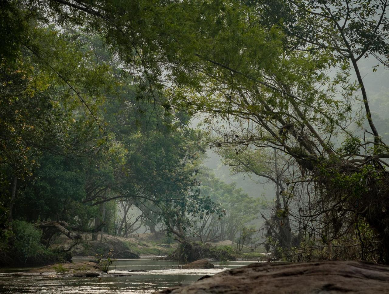 Quiet By The River- Cgh Earth Thodakayam Exterior foto